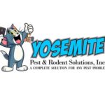 Dependable Pest Control in Aurora